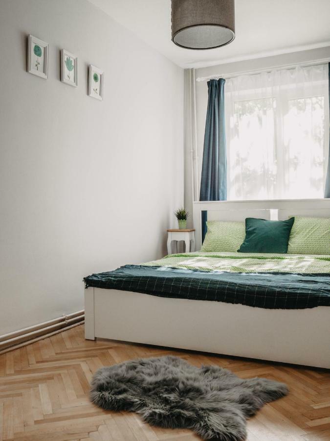 Business And Travel Central Apartment Timişoara Exterior foto